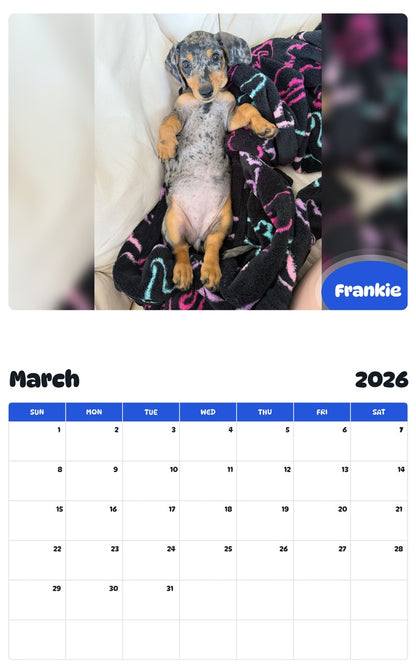 November 2025 - October 2026 Frankie - Pawidols Pet Calendar