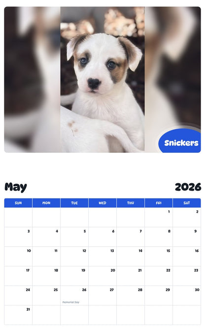 2026 - 2027 Snickers - Pawidols Pet Calendar