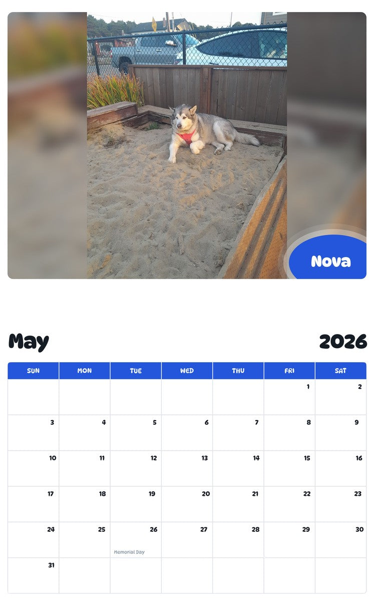 2026 - 2027 Nova - Pawidols Pet Calendar