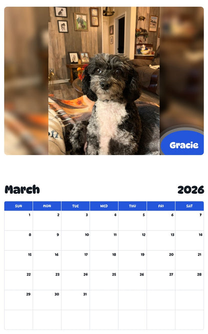 November 2025 - October 2026 Gracie - Pawidols Pet Calendar