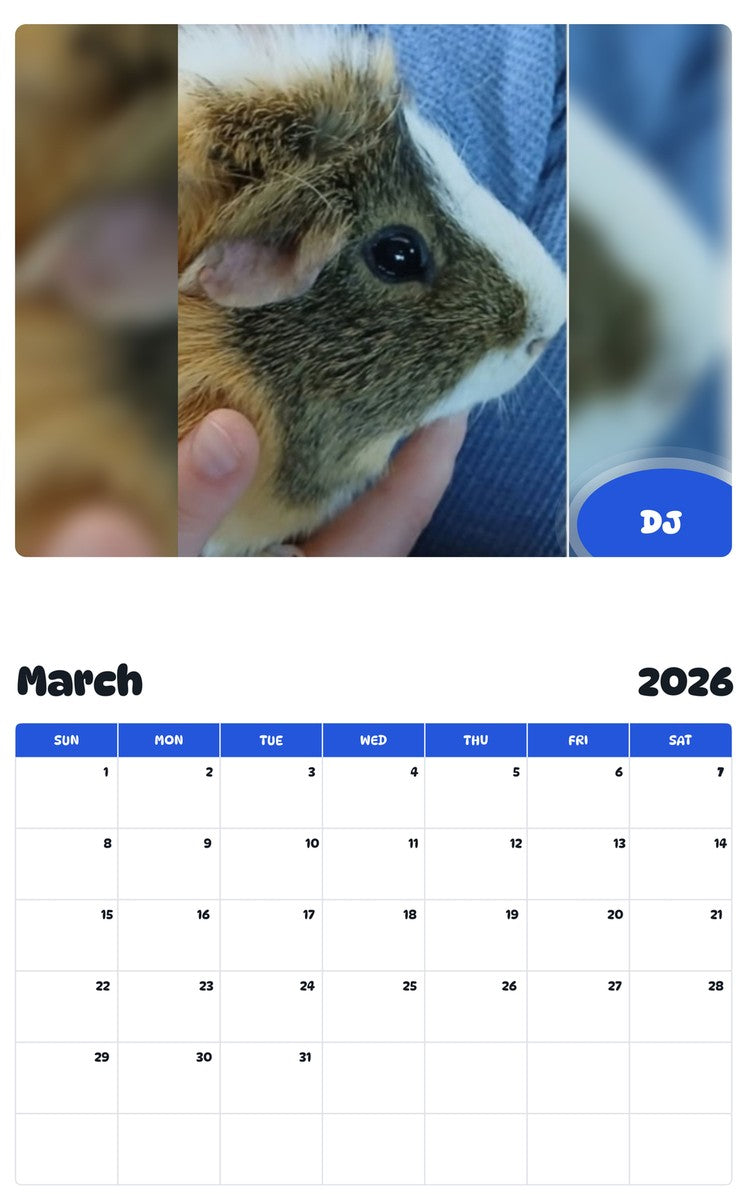 November 2025 - October 2026 DJ - Pawidols Pet Calendar