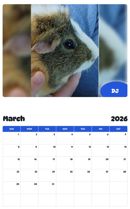 November 2025 - October 2026 DJ - Pawidols Pet Calendar