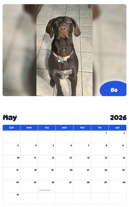 2026 - 2027 Bo - Pawidols Pet Calendar