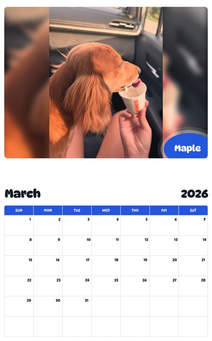 November 2025 - October 2026 Maple - Pawidols Pet Calendar