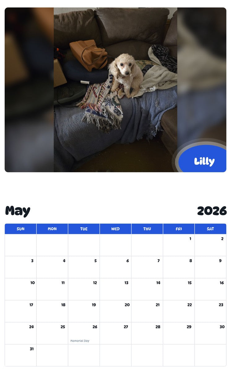 2026 - 2027 Lilly - Pawidols Pet Calendar