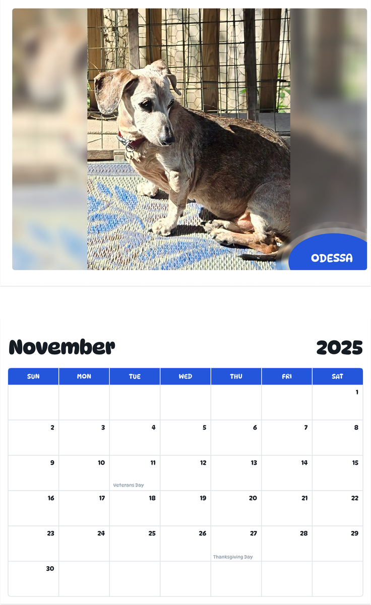July 2025 - June 2026 Odessa - Pawidols Pet Calendar