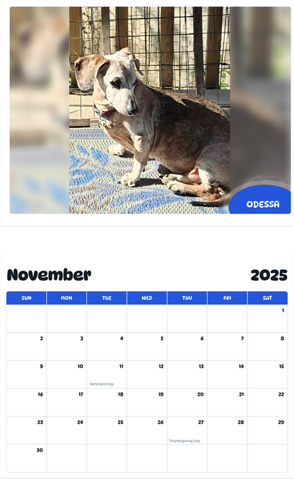 July 2025 - June 2026 Odessa - Pawidols Pet Calendar