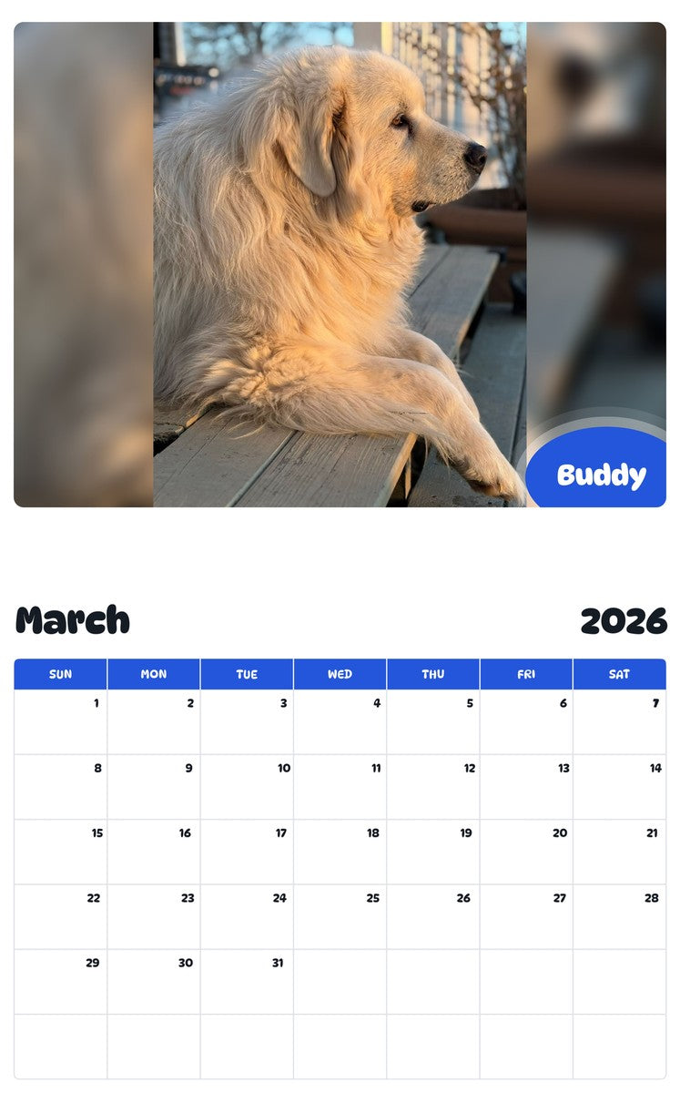 November 2025 - October 2026 Buddy - Pawidols Pet Calendar