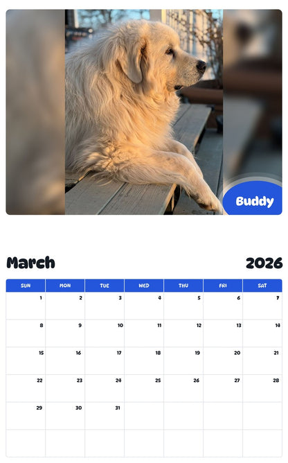 November 2025 - October 2026 Buddy - Pawidols Pet Calendar