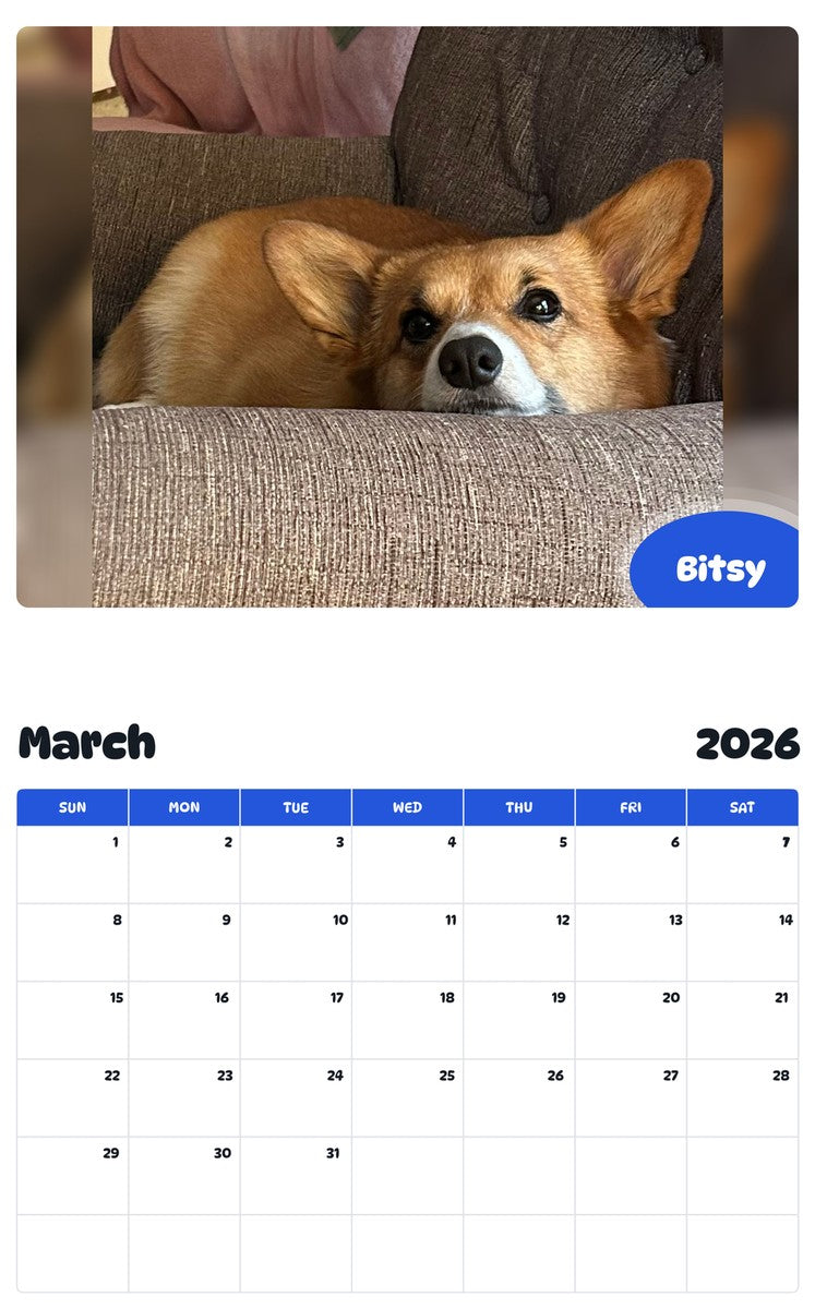 November 2025 - October 2026 Bitsy - Pawidols Pet Calendar