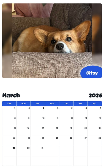 November 2025 - October 2026 Bitsy - Pawidols Pet Calendar