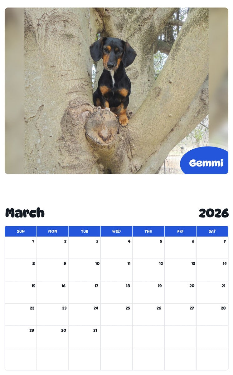 November 2025 - October 2026 Gemmi - Pawidols Pet Calendar