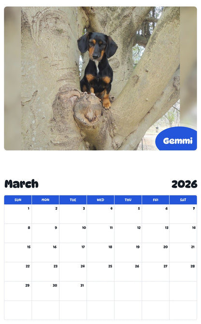 November 2025 - October 2026 Gemmi - Pawidols Pet Calendar