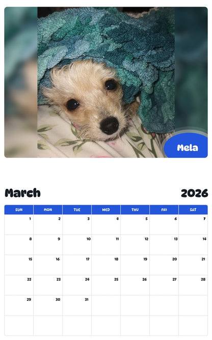 November 2025 - October 2026 Mela - Pawidols Pet Calendar
