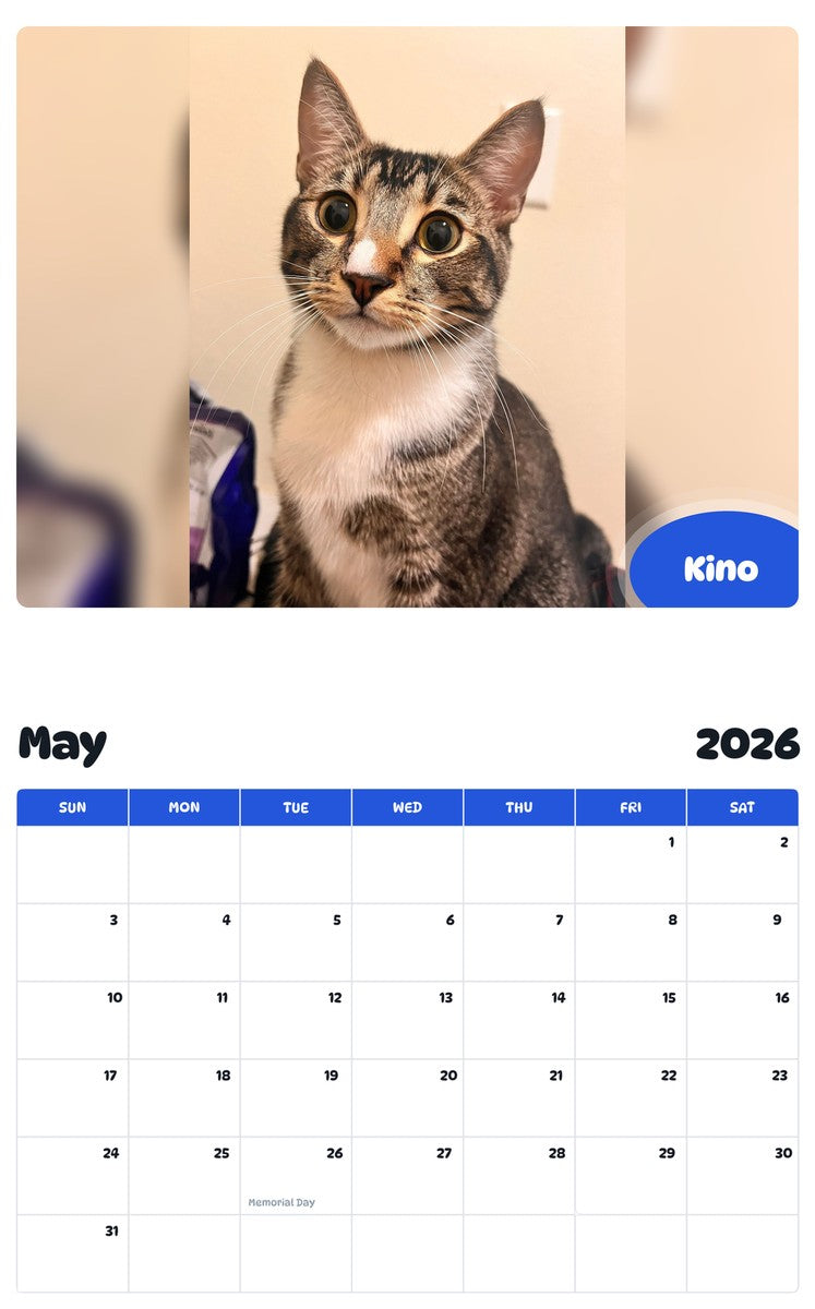 2026 - 2027 Kino - Pawidols Pet Calendar