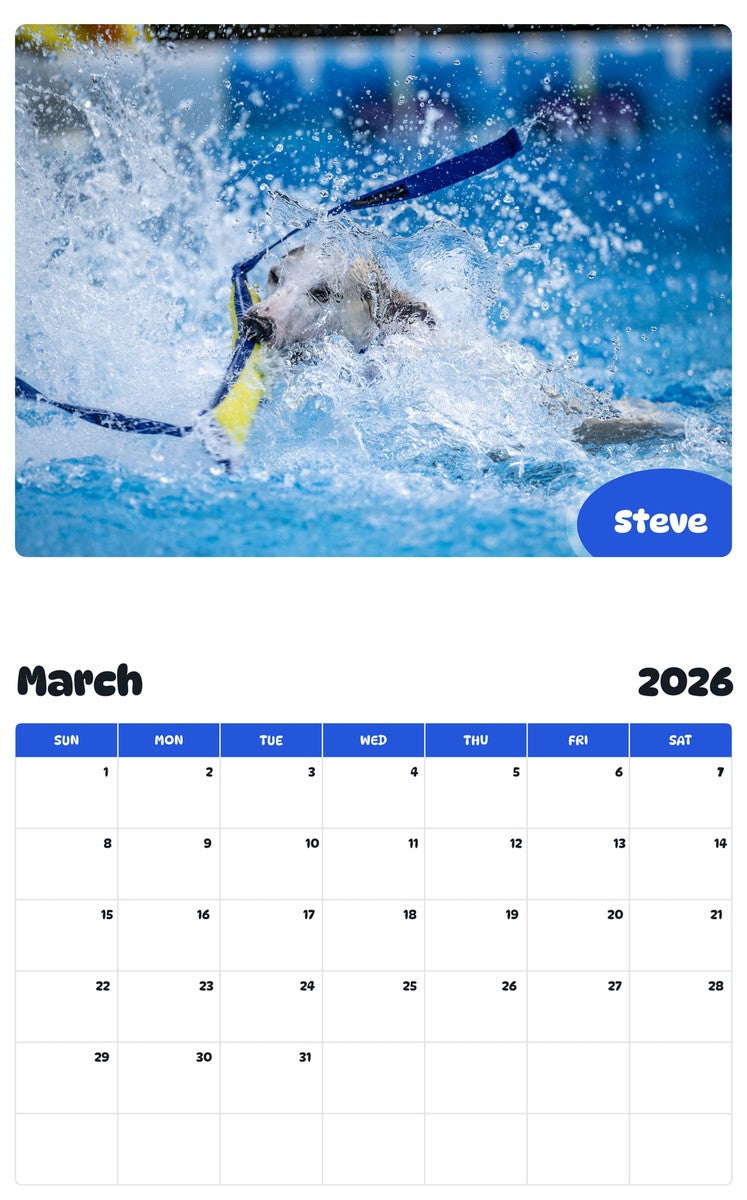 November 2025 - October 2026 Steve - Pawidols Pet Calendar