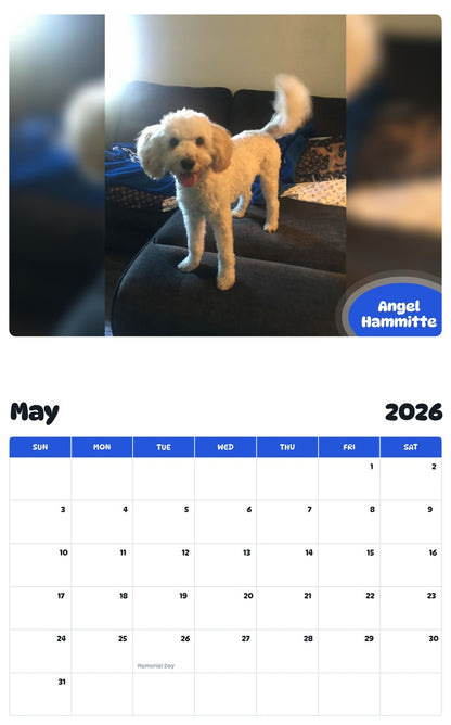 2026 - 2027 Angel Hammitte - Pawidols Pet Calendar