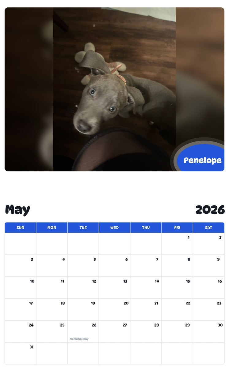 2026 - 2027 Penelope - Pawidols Pet Calendar