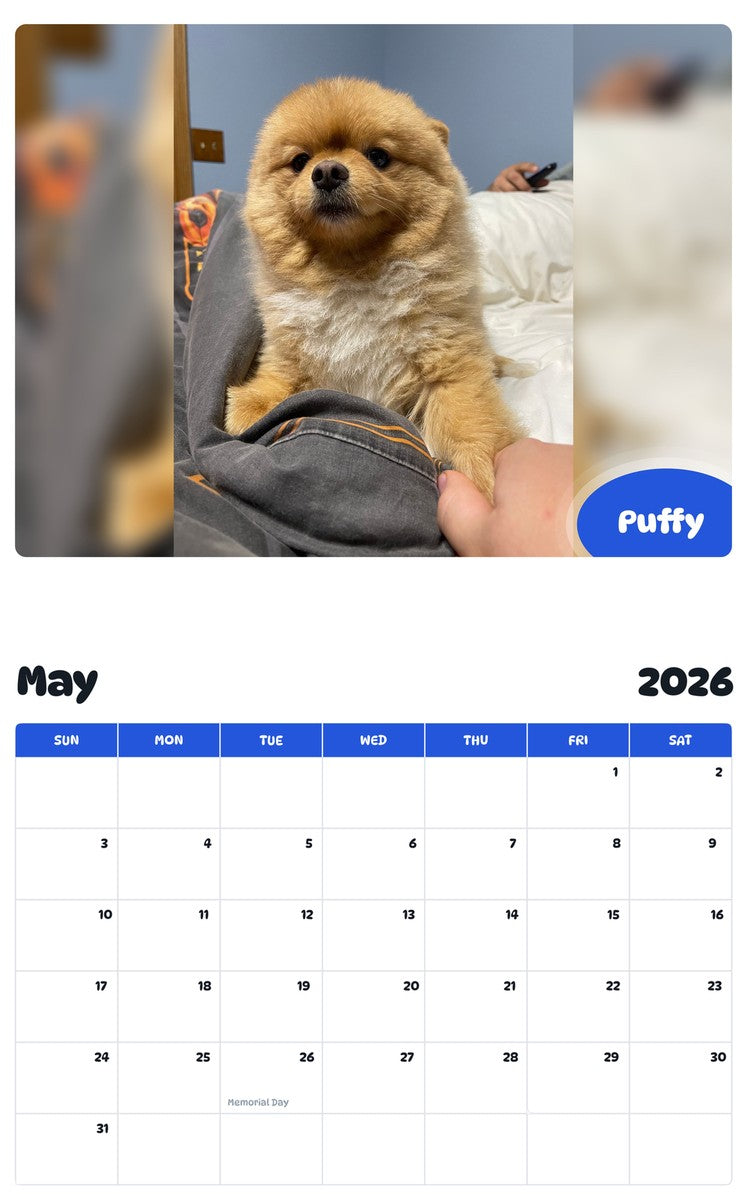 2026 - 2027 Puffy - Pawidols Pet Calendar