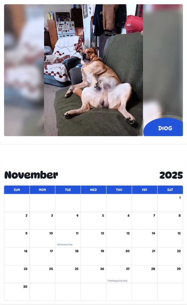 July 2025 - June 2026 DiOG - Pawidols Pet Calendar