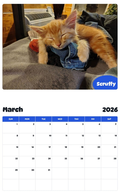 November 2025 - October 2026 Scruffy - Pawidols Pet Calendar