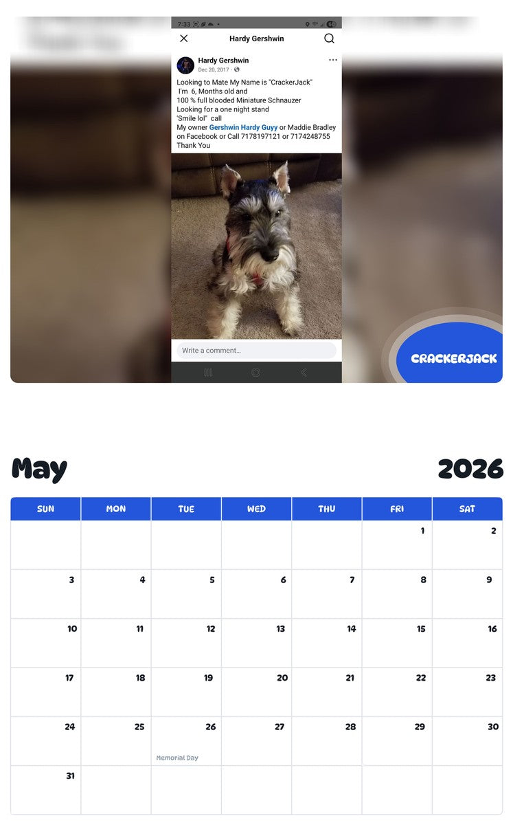 2026 - 2027 CRACKERJACK - Pawidols Pet Calendar