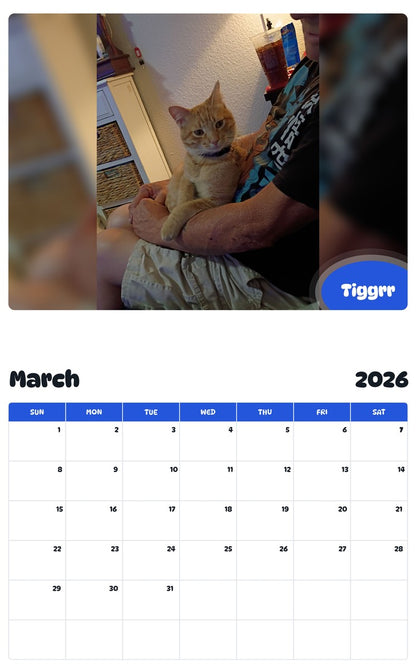 November 2025 - October 2026 Tiggrr - Pawidols Pet Calendar