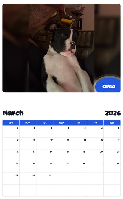 November 2025 - October 2026 Oreo - Pawidols Pet Calendar