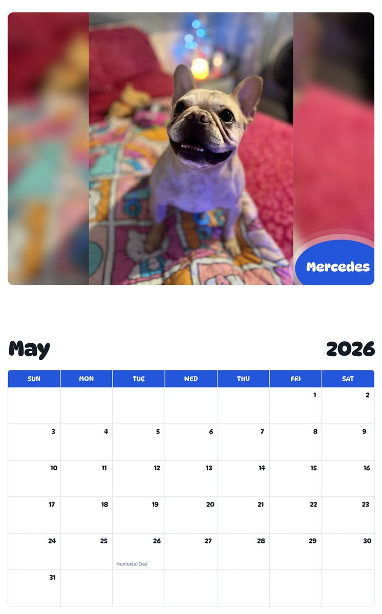 2026 - 2027 Mercedes - Pawidols Pet Calendar
