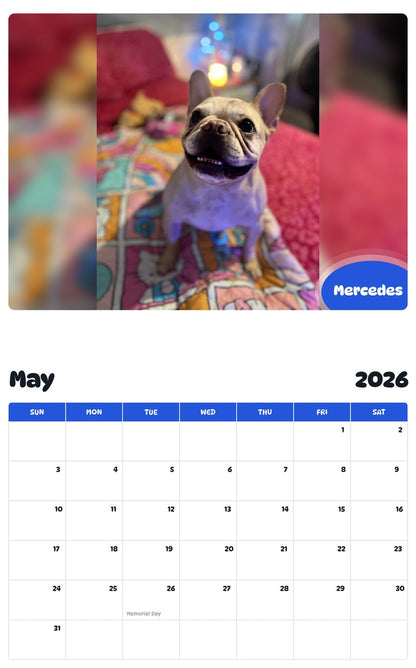 2026 - 2027 Mercedes - Pawidols Pet Calendar