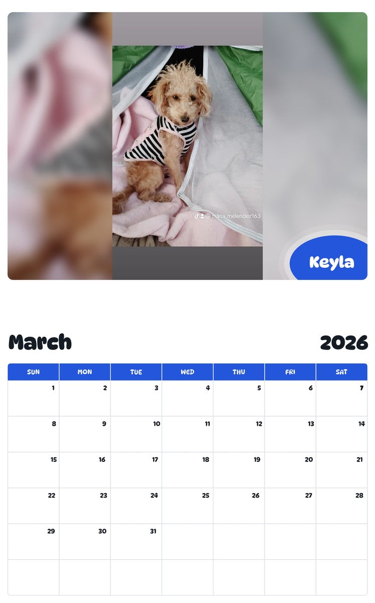 November 2025 - October 2026 Keyla - Pawidols Pet Calendar