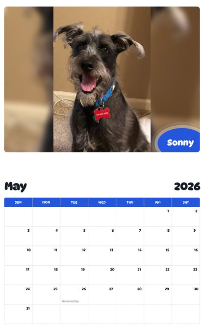 2026 - 2027 Sonny - Pawidols Pet Calendar