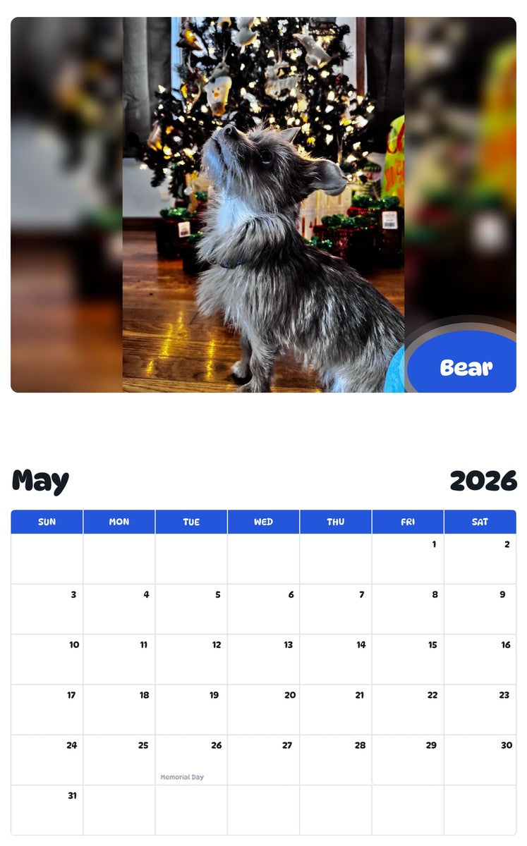 2026 - 2027 Bear - Pawidols Pet Calendar