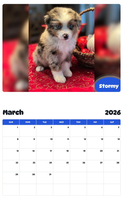 November 2025 - October 2026 Stormy - Pawidols Pet Calendar