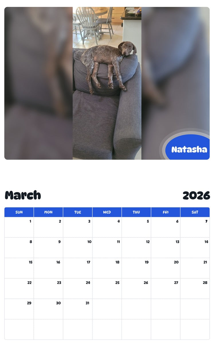 November 2025 - October 2026 Natasha - Pawidols Pet Calendar