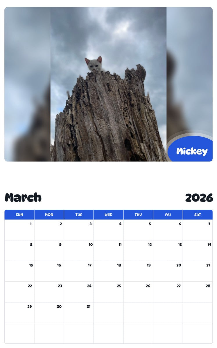 November 2025 - October 2026 Mickey - Pawidols Pet Calendar
