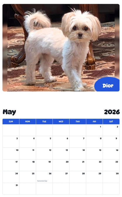 2026 - 2027 Dior - Pawidols Pet Calendar