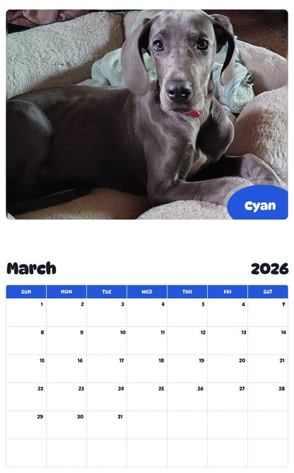 November 2025 - October 2026 Cyan - Pawidols Pet Calendar