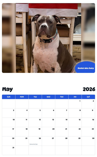 2026 - 2027 Bexlei aka Juicy - Pawidols Pet Calendar
