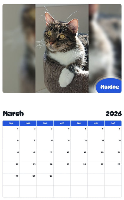 November 2025 - October 2026 Maxine - Pawidols Pet Calendar