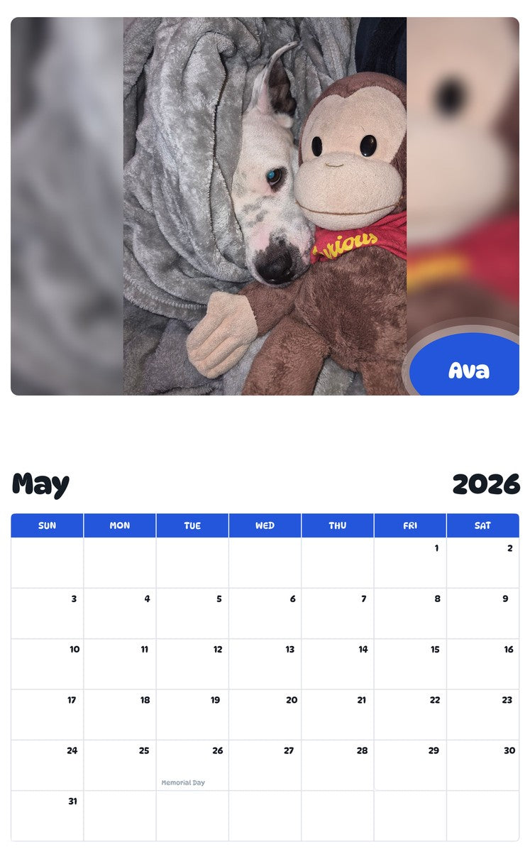 2026 - 2027 Ava - Pawidols Pet Calendar
