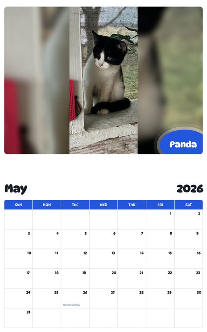 2026 - 2027 Panda - Pawidols Pet Calendar