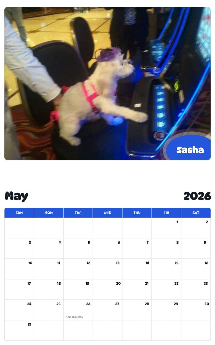 2026 - 2027 Sasha - Pawidols Pet Calendar