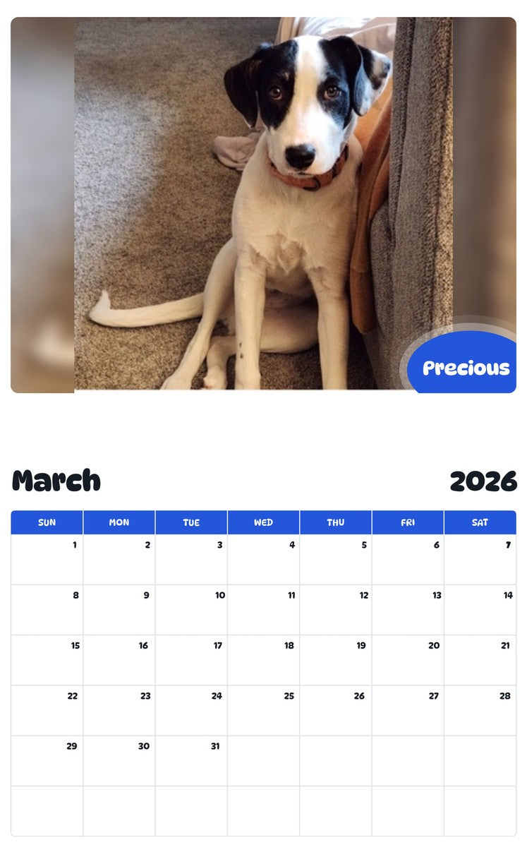 November 2025 - October 2026 Precious - Pawidols Pet Calendar