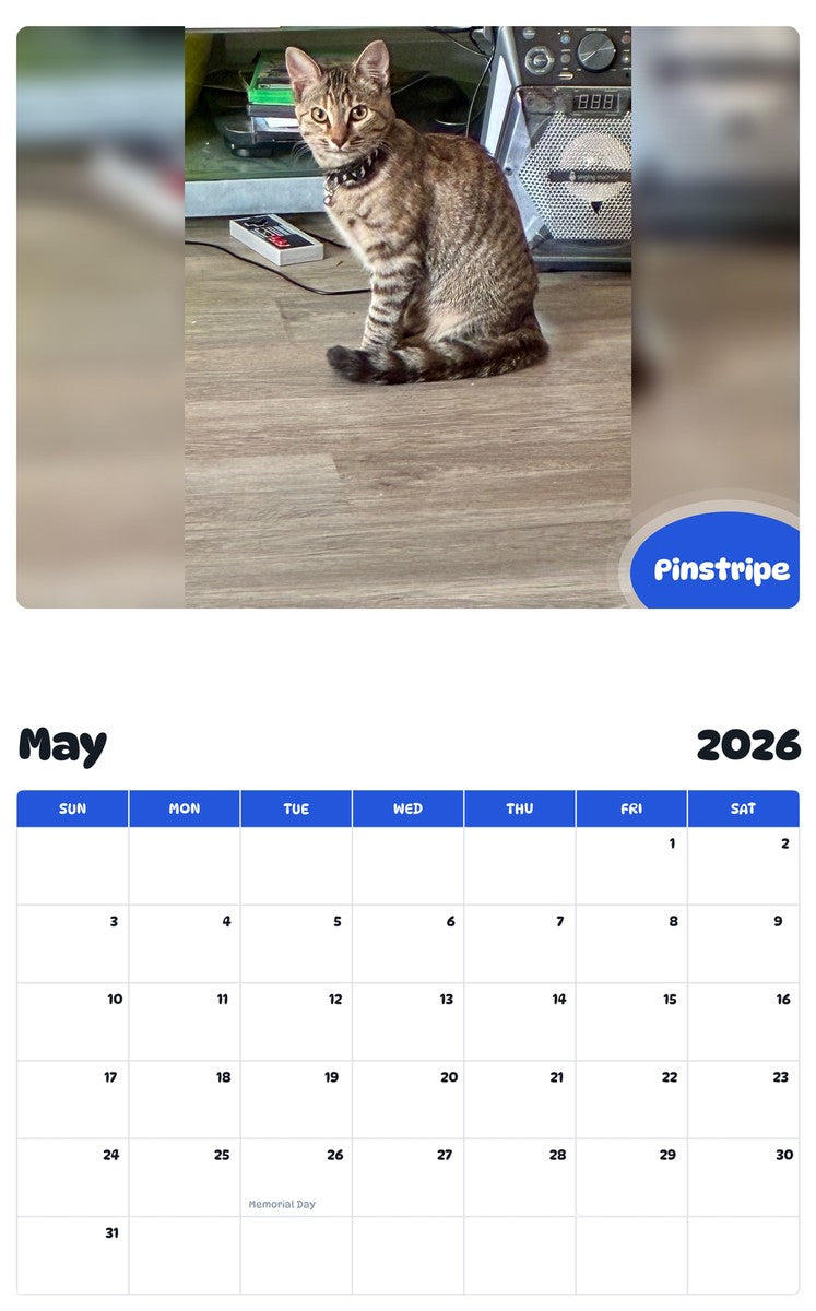 2026 - 2027 Pinstripe - Pawidols Pet Calendar