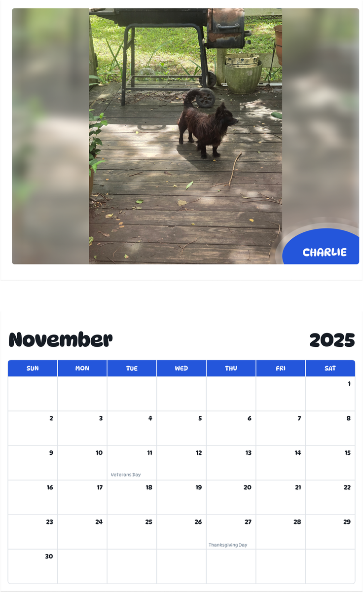 July 2025 - June 2026 Charlie - Pawidols Pet Calendar