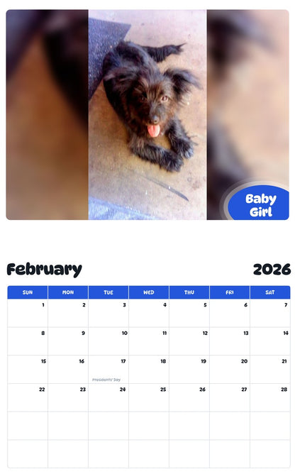 November 2025 - October 2026 Baby Girl - Pawidols Pet Calendar