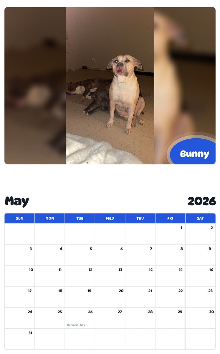 2026 - 2027 Bunny - Pawidols Pet Calendar