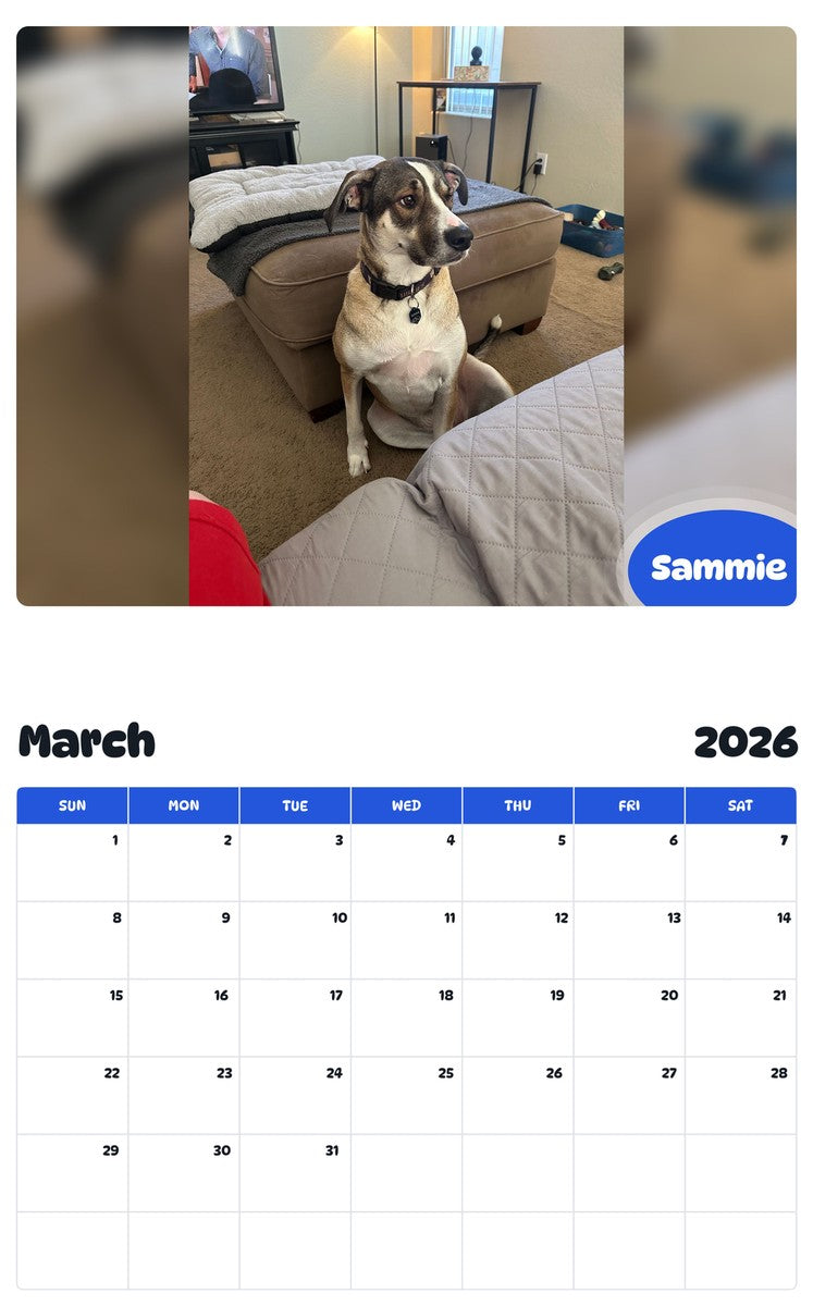 November 2025 - October 2026 Sammie - Pawidols Pet Calendar