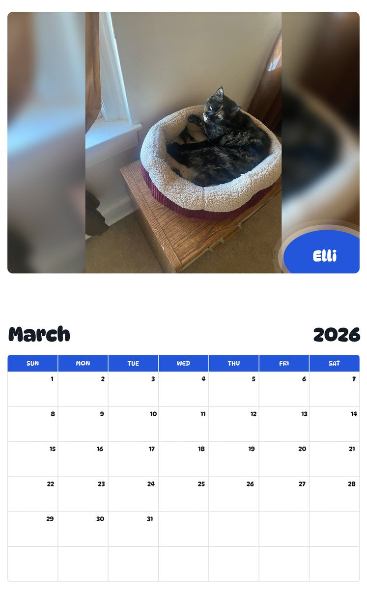 November 2025 - October 2026 Elli - Pawidols Pet Calendar